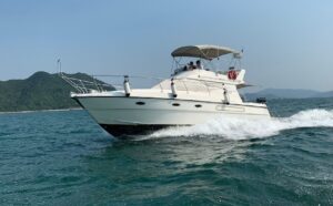 No. 603 - Azimut 37